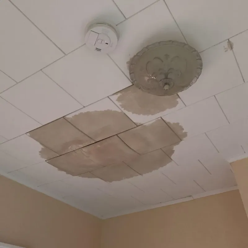 Ceiling Water Damage Repair in Covington County, MS